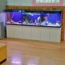 시립매홀어린이집 이미지