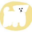 320 펫살롱 이미지