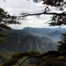 원종센타약국 이미지