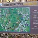 무지랭이 이미지