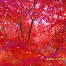 동해시-42 이미지