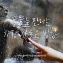 애니멀타임 네이버블로그