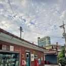 현완단겸 상추튀김 이미지