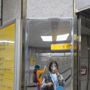 2026년 과천재즈피크닉 후기