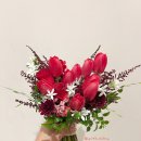 플레타플레르 이미지