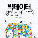데이타빅 이미지
