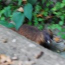 달빛온도 이미지