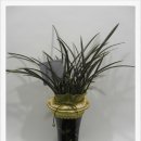 궁동어린이집 이미지