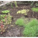 용눈이펜션 이미지