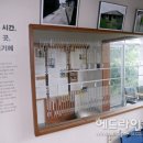 수상한집
