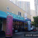 욜로오개 이미지