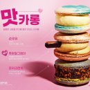 배신다방