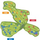 골프존카운티 드래곤 이미지