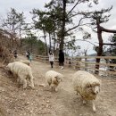 대동목장 이미지