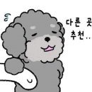 삼양쉼터 이미지