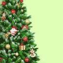 달임채한의원 이미지