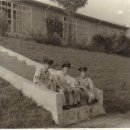 중앙특송 이미지