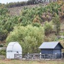 강림면342 이미지