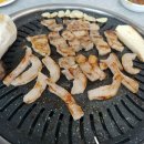 꿉소꿉소 이미지