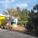 안덕농장 이미지