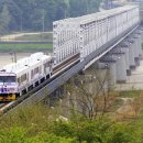 DMZ생태관광지원센터 공연장 이미지