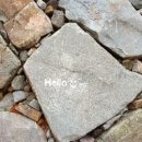 도도앤하우스 이미지