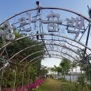 송백다방 이미지