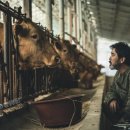 미정목장 이미지