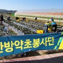 평화농장 경인자치신문