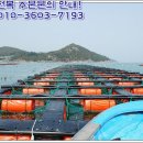 바다향 참전복 이미지