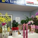 거성자동차정비 이미지