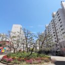 누리공인중개사사무소 이미지