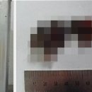 경일유통 이미지