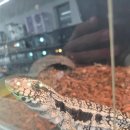 뉴런 | 뉴런랩타일 in 삼송 방문 후기