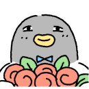 제이엠.핏 이미지