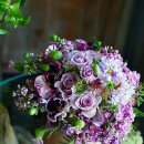 남해중학교 이미지