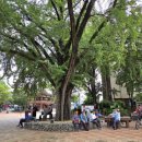 중앙 어르신사랑방 이미지