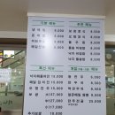 국수와낙지비빔밥 이미지