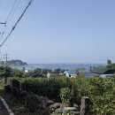 마리네가게 | 3박4일 제주도 혼자 여행 코스(2일차), 숙소 정보 포함 🏠