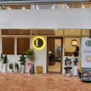 호니도니 이미지