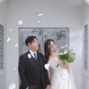 정원피아 이미지