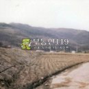 단천리농장 Daum카페