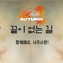 🌻Youtube 재생목록 (플레이리스트) 수정.집중재생 이미지