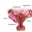 김포제일한의원 이미지