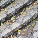 한국폴리텍 특성화대학 바이오캠퍼스 | [전문대 취업률] 한국폴리텍 특성화대학 바이오캠퍼스 2024년 학과별 취업률