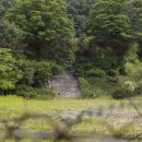 추억의 102보충대,306보충대 근황.jpg 이미지