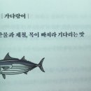 사카나 - 동구 남문로 690 | 사카나
