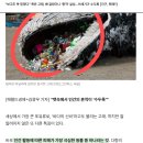 고래의 노래