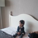 더블루웨일스튜디오