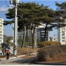 생활환경 공원 이미지